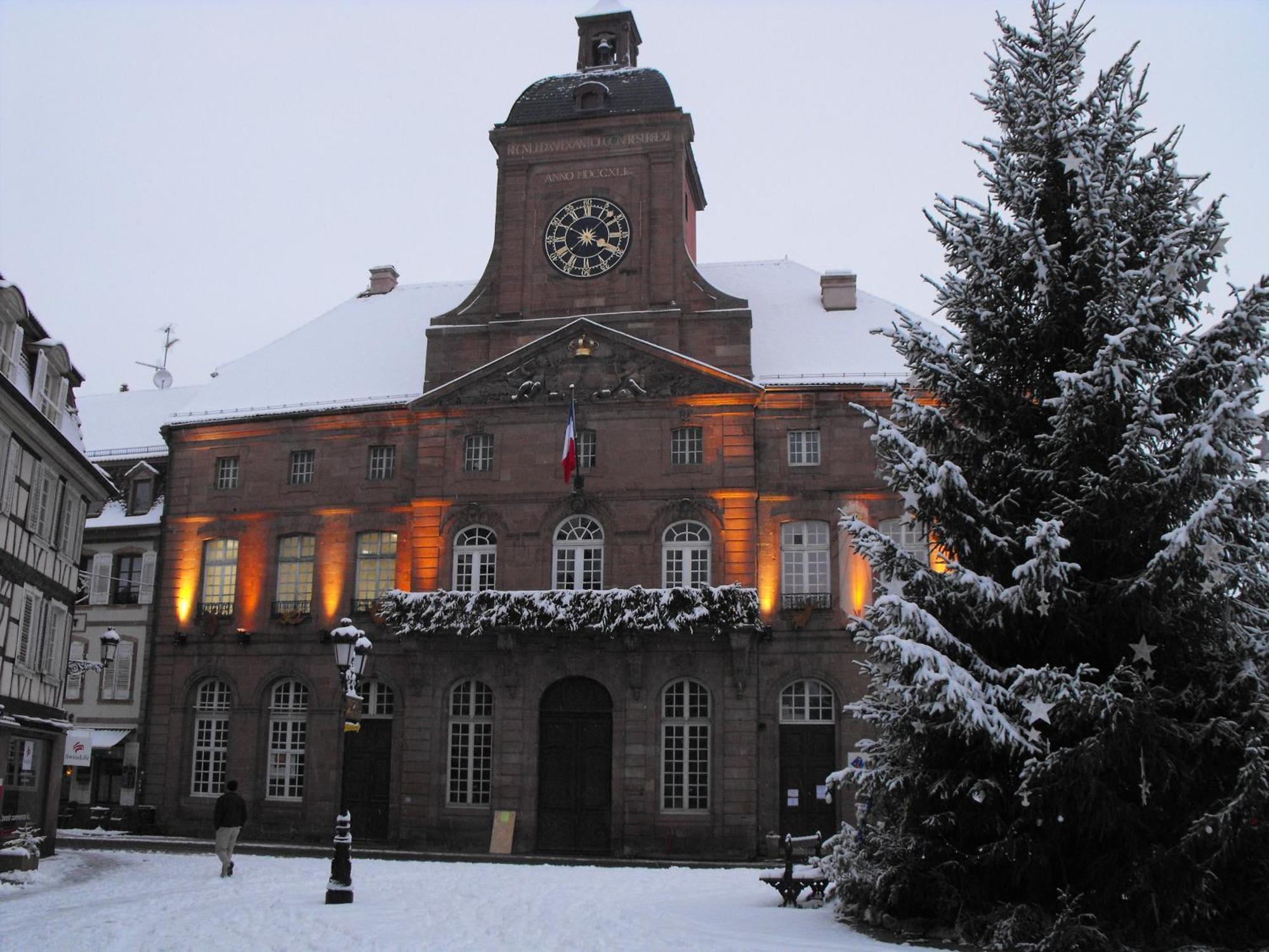 Hôtel d'Alsace Wissembourg Extérieur photo